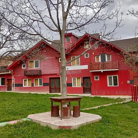 Zărneşti Pensiunea Irina 3 מראה חיצוני תמונה