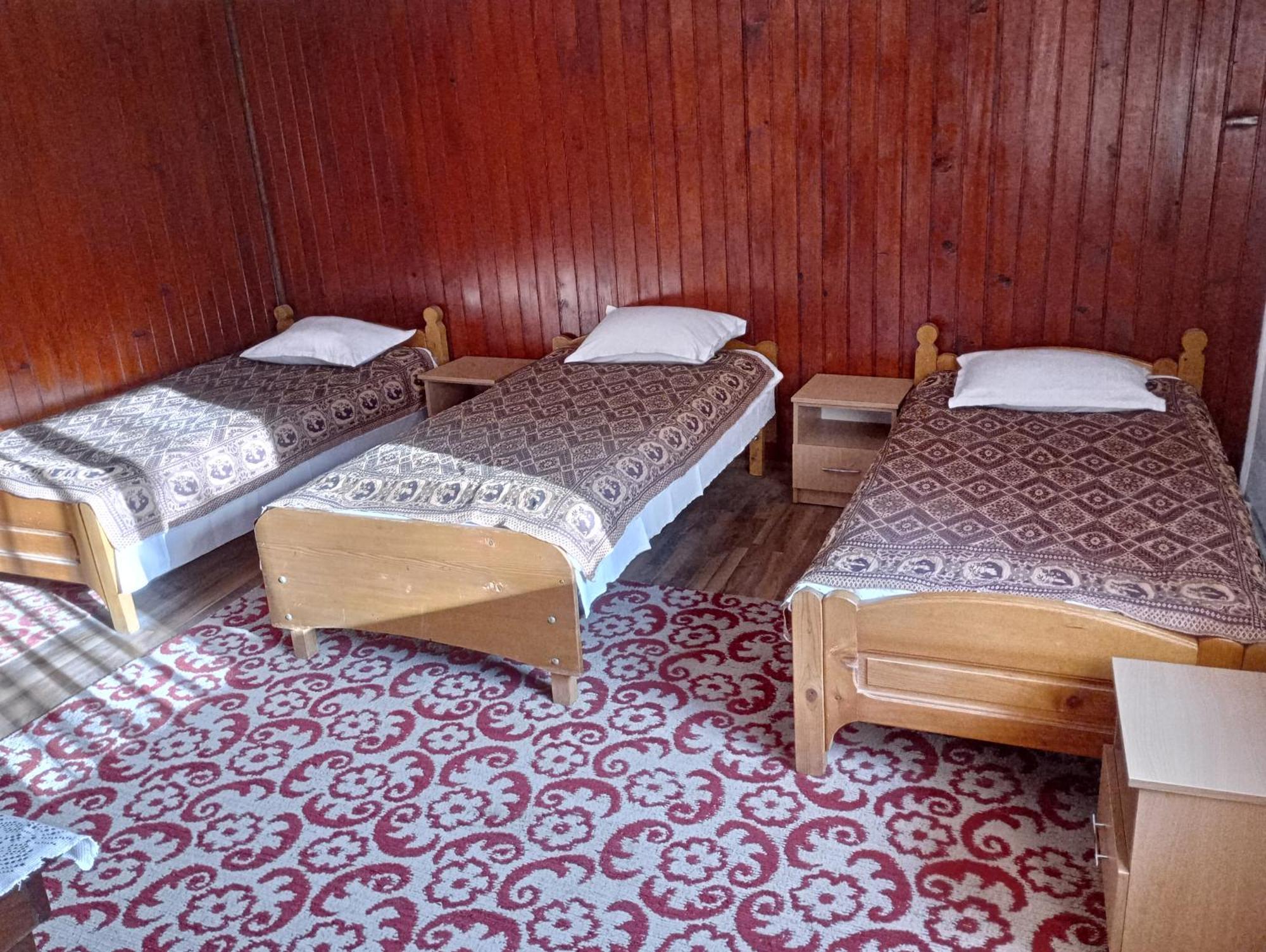 Zărneşti Pensiunea Irina 3 מראה חיצוני תמונה