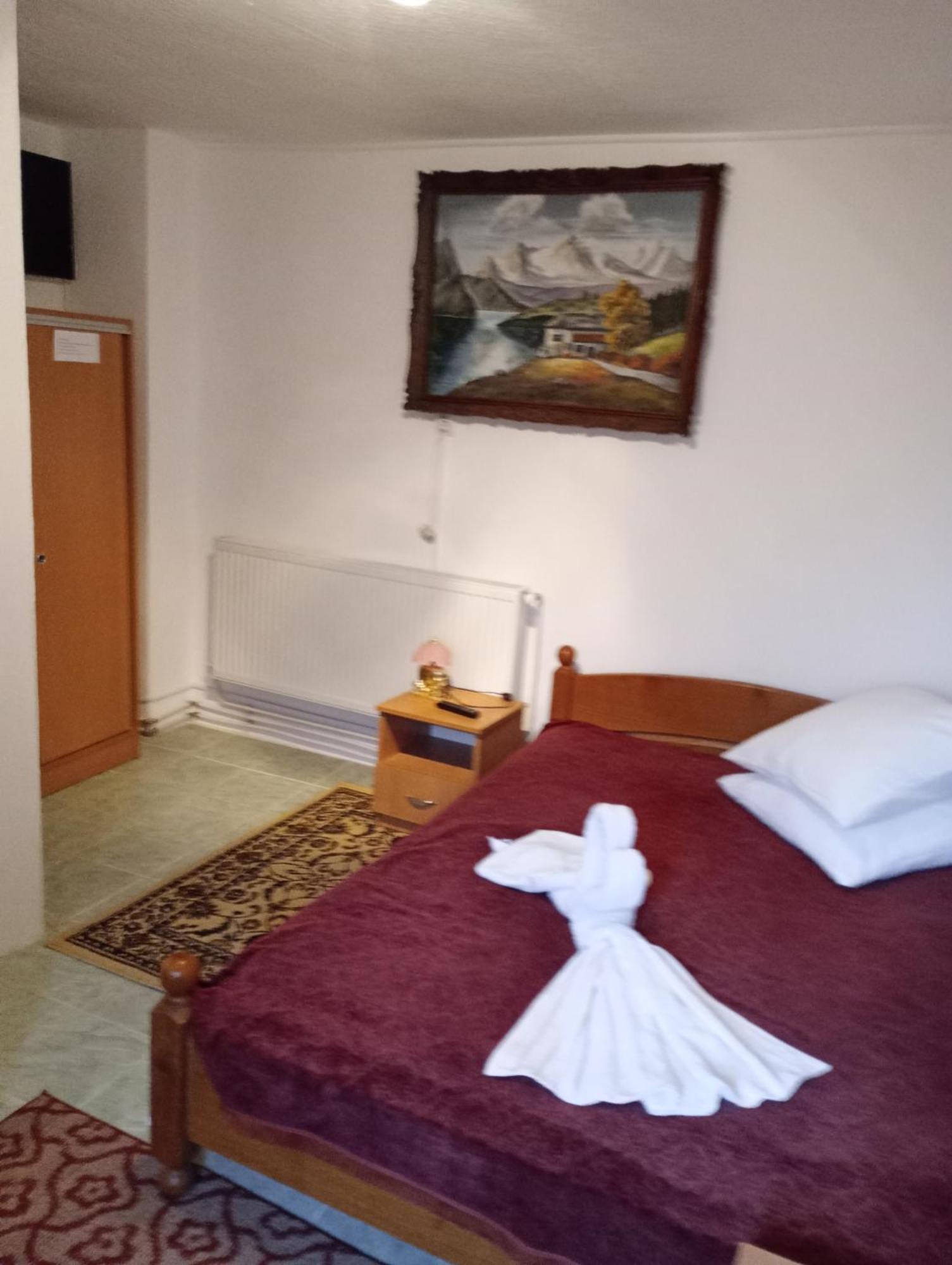 Zărneşti Pensiunea Irina 3 מראה חיצוני תמונה