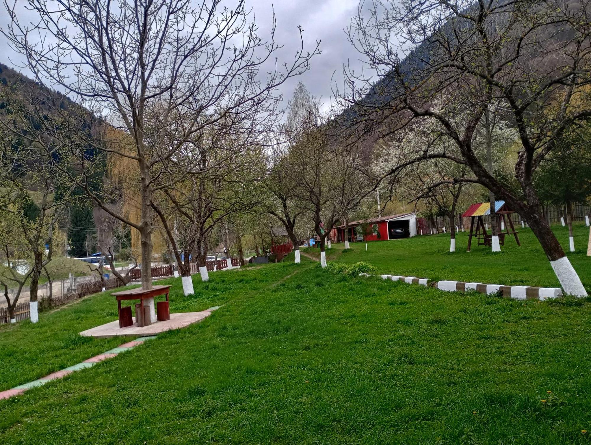 Zărneşti Pensiunea Irina 3 מראה חיצוני תמונה